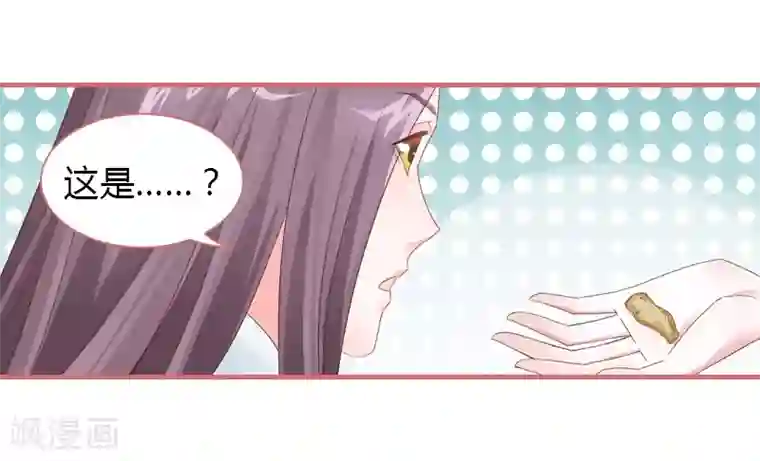 娘子嫁到第75话