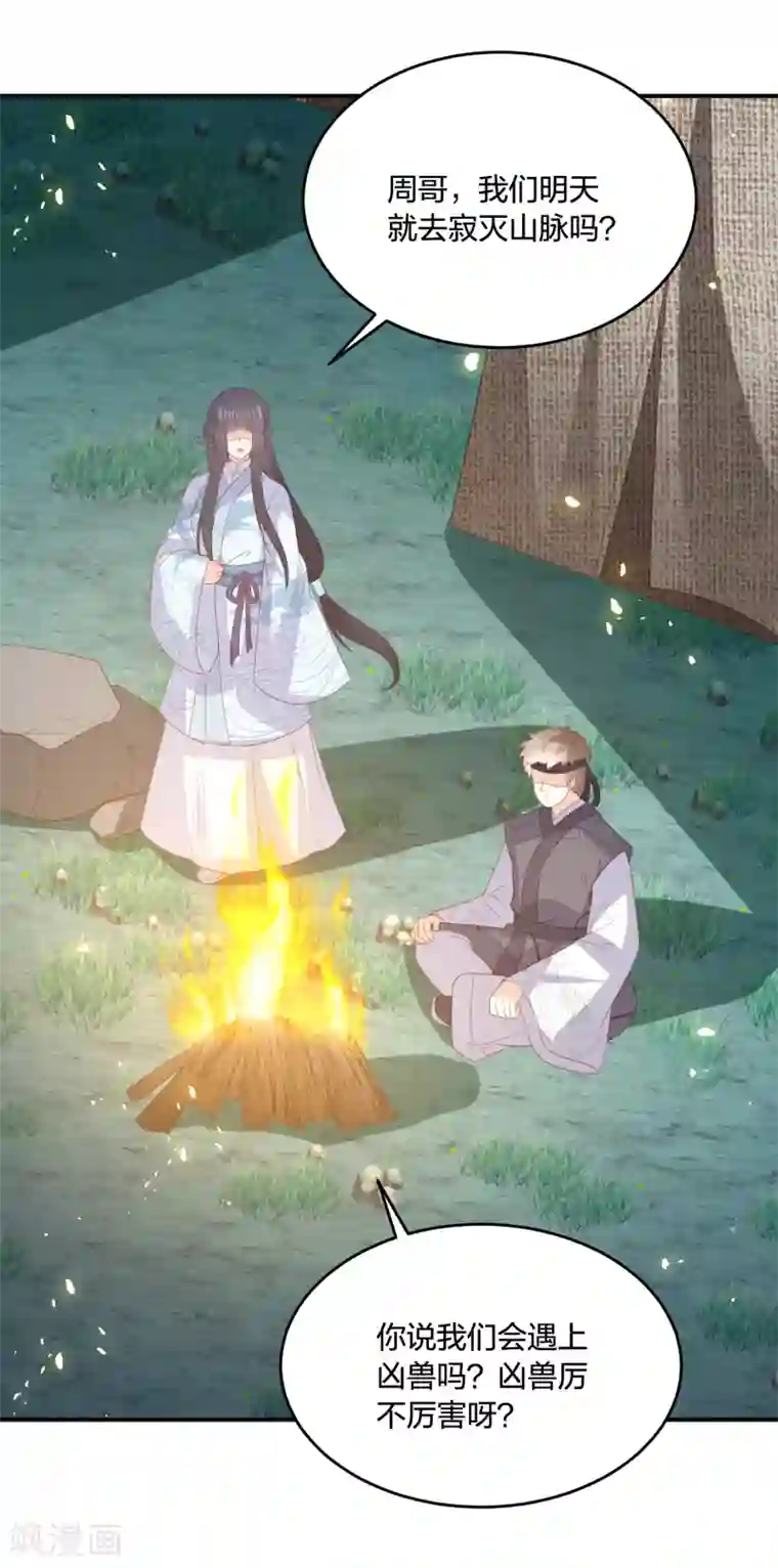 凤凰错:专宠弃妃第203话 寂灭山脉