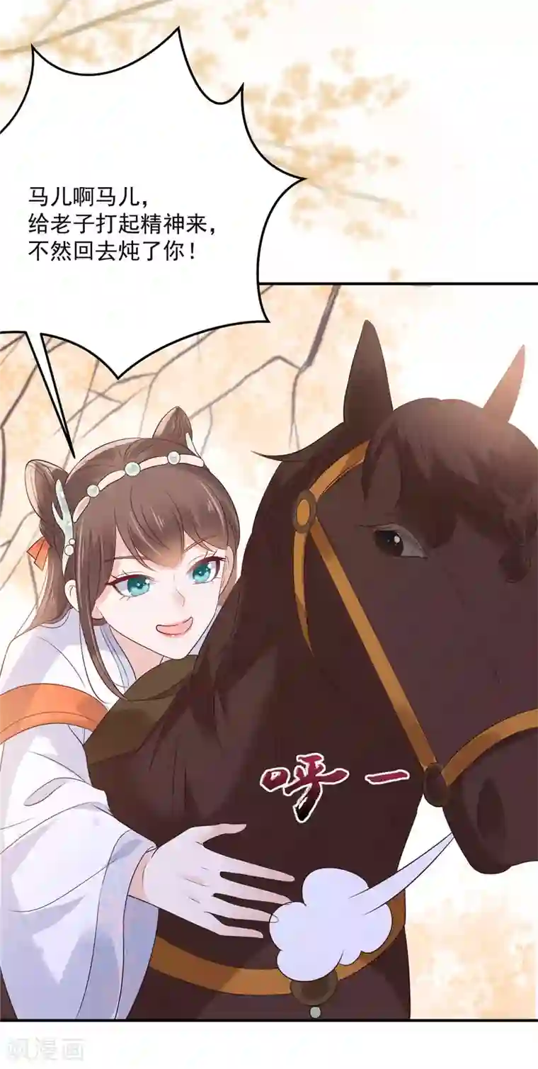 傲娇邪王宠入骨第138话 狩猎，开始了