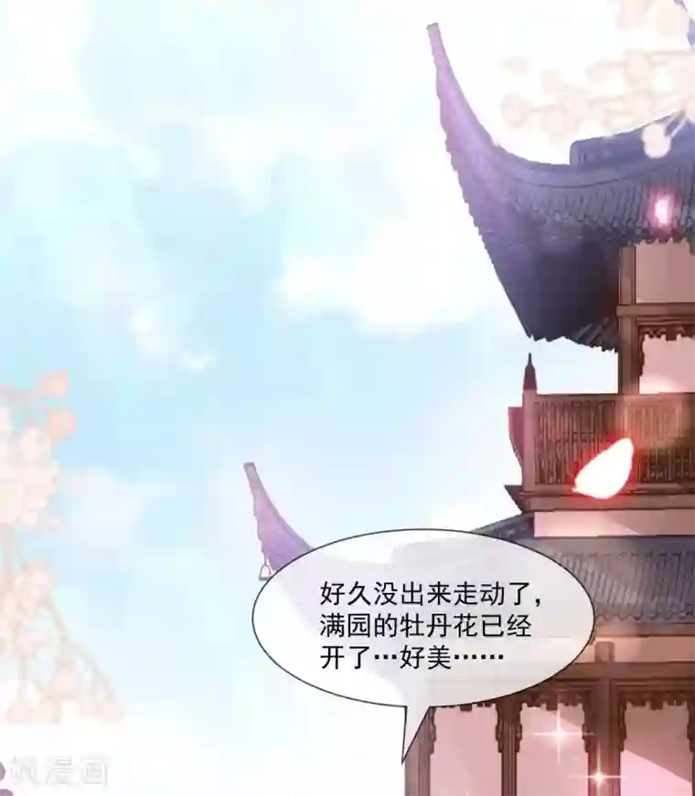 天下第一宠第206话 箐王的双标