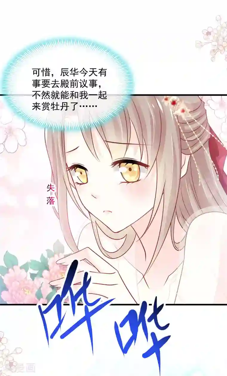 天下第一宠第206话 箐王的双标