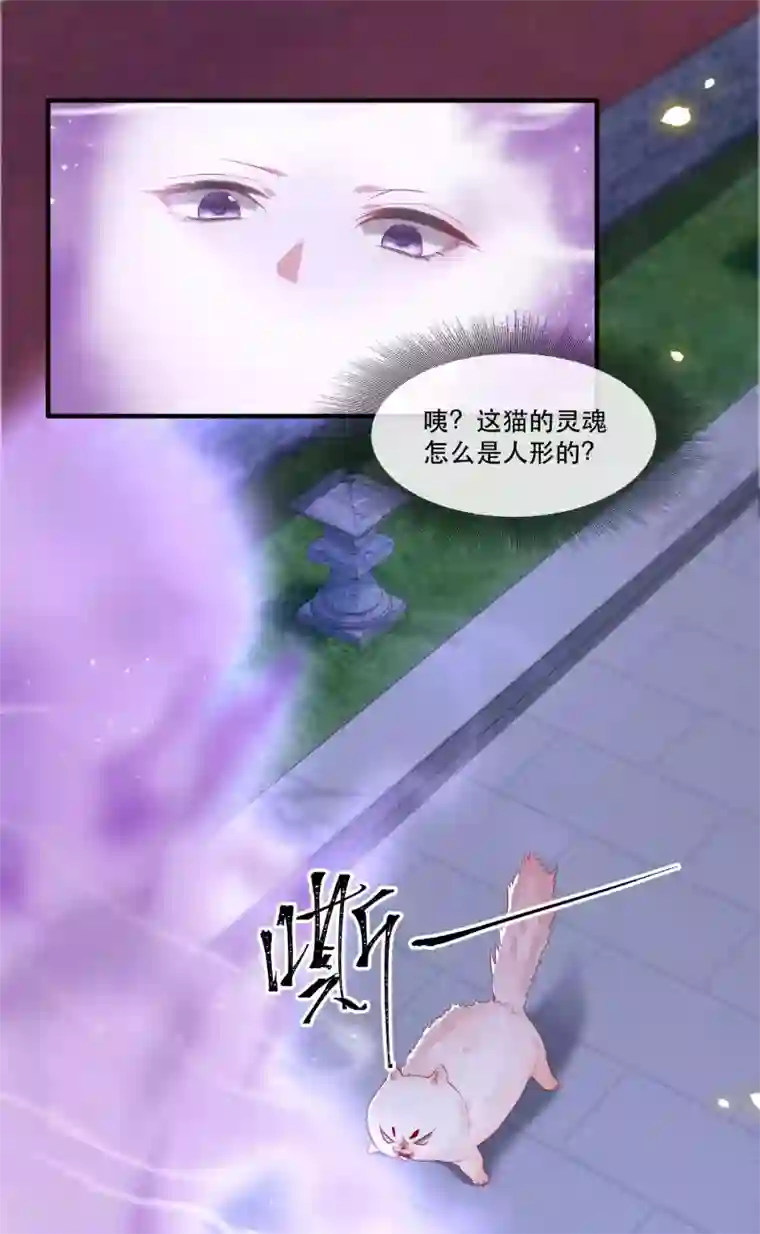 这个王妃路子野第72话 你在威胁本座？