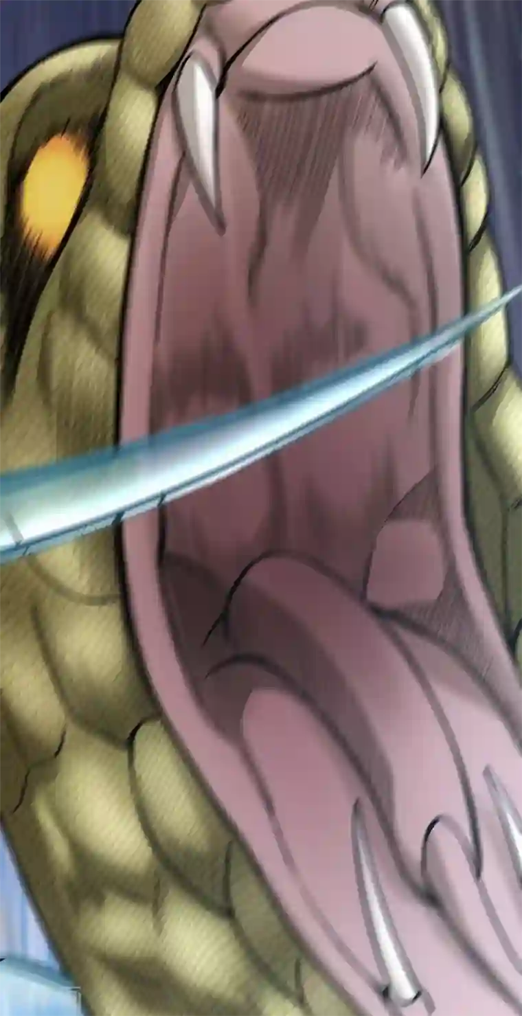 我又不会异能第30话 难缠的森蚺