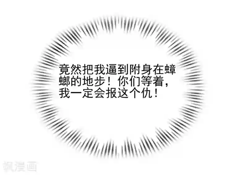 最强桃花运第210话 女人之间的互爱？？？