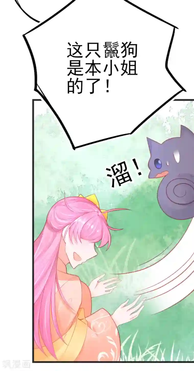 本王妃神藤在手第127话 新生试炼开始！