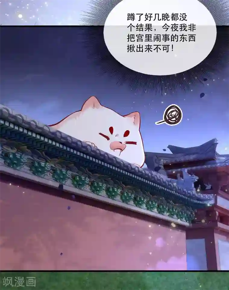 这个王妃路子野第71话 本宫答应嫁给你了吗？！