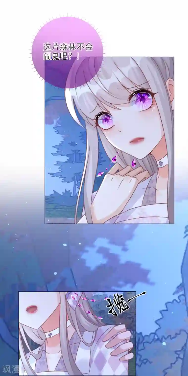 穿越到春秋男校当团宠第95话 闹鬼的森林？