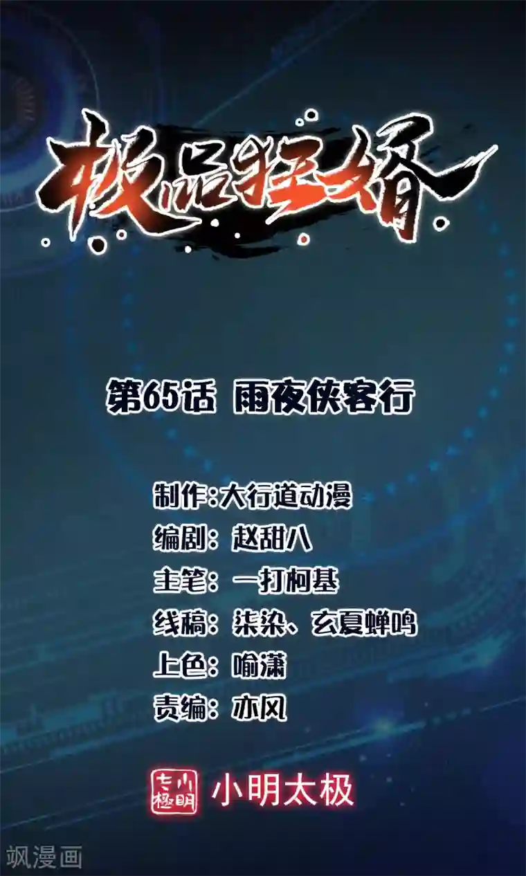 极品狂婿第65话 雨夜侠客行