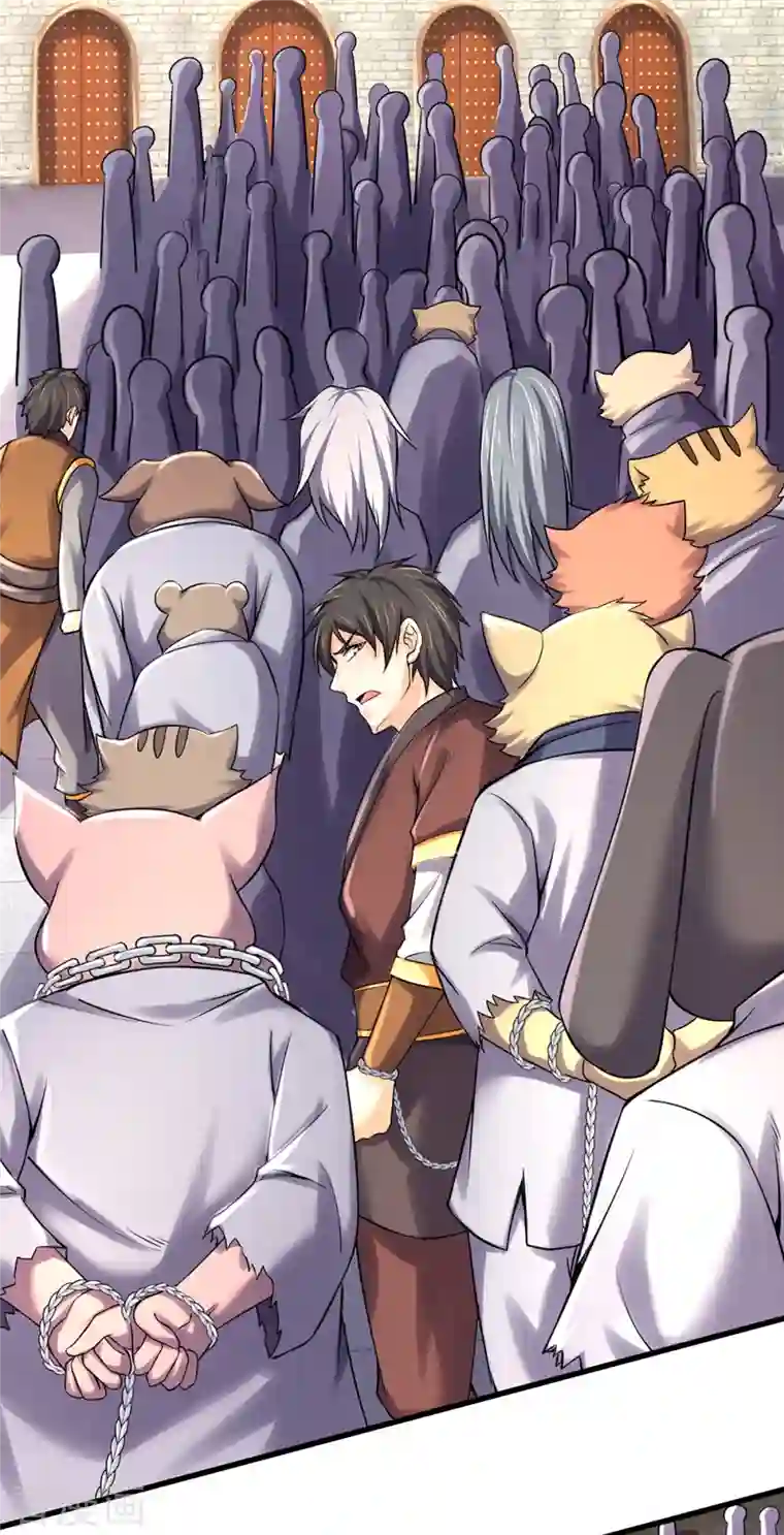 神武天尊第330话 这些猫妖我买了！