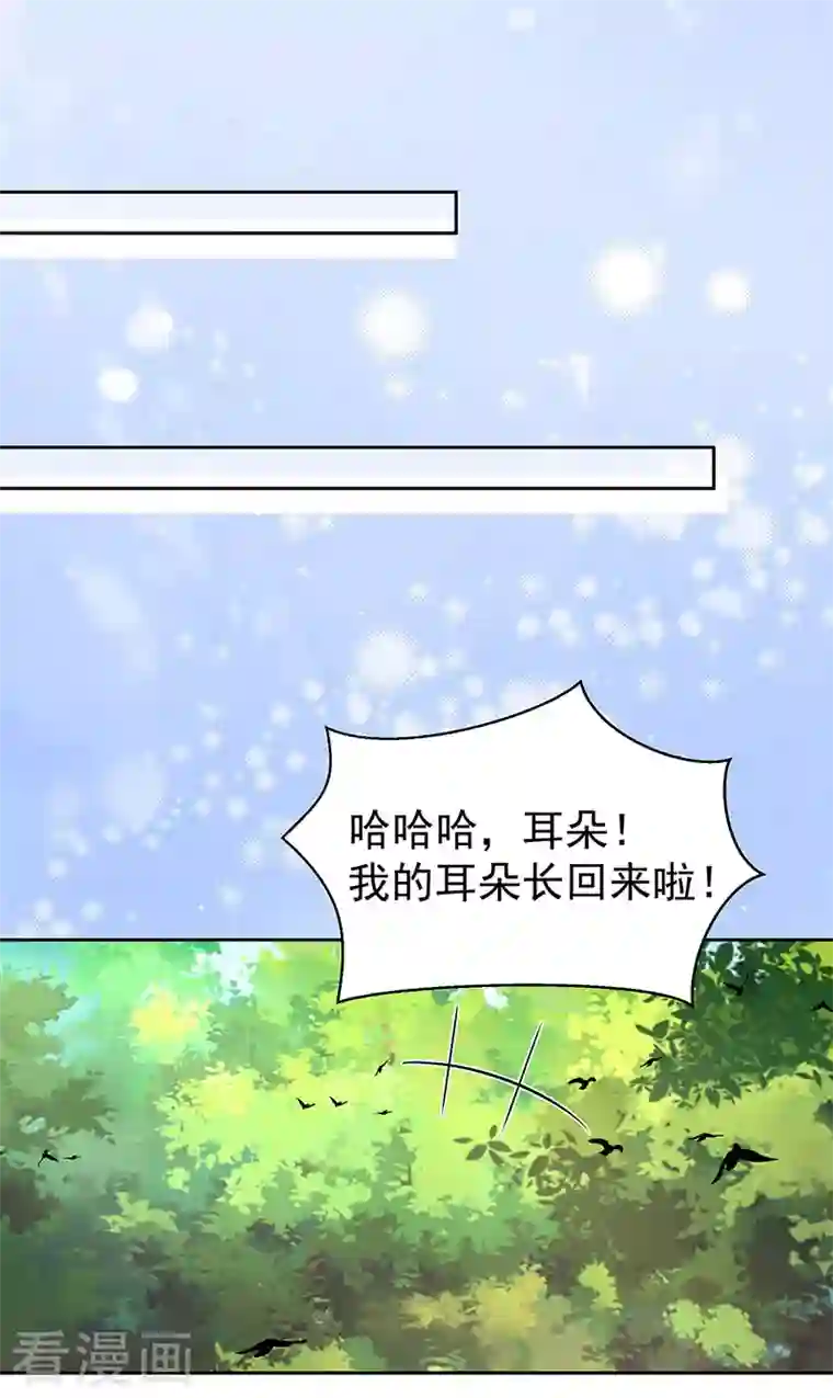 狂女重生：纨绔七皇妃第318话 焕生花