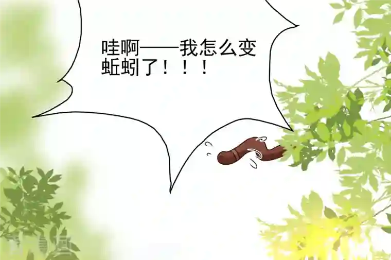 最强桃花运第211话 没有弱点就是最大的弱点？？?