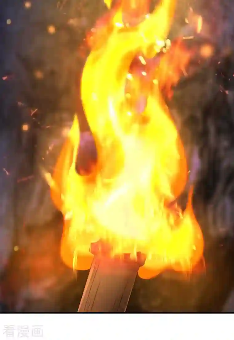 我在异界养男神：神医九小姐第97话 传承