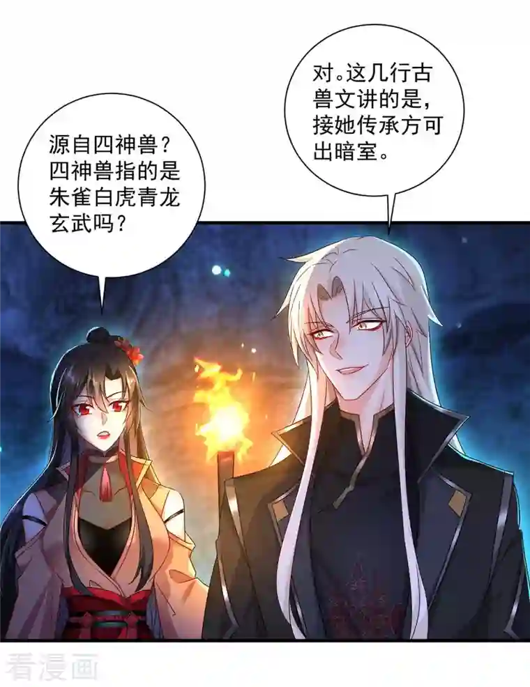 我在异界养男神：神医九小姐第97话 传承