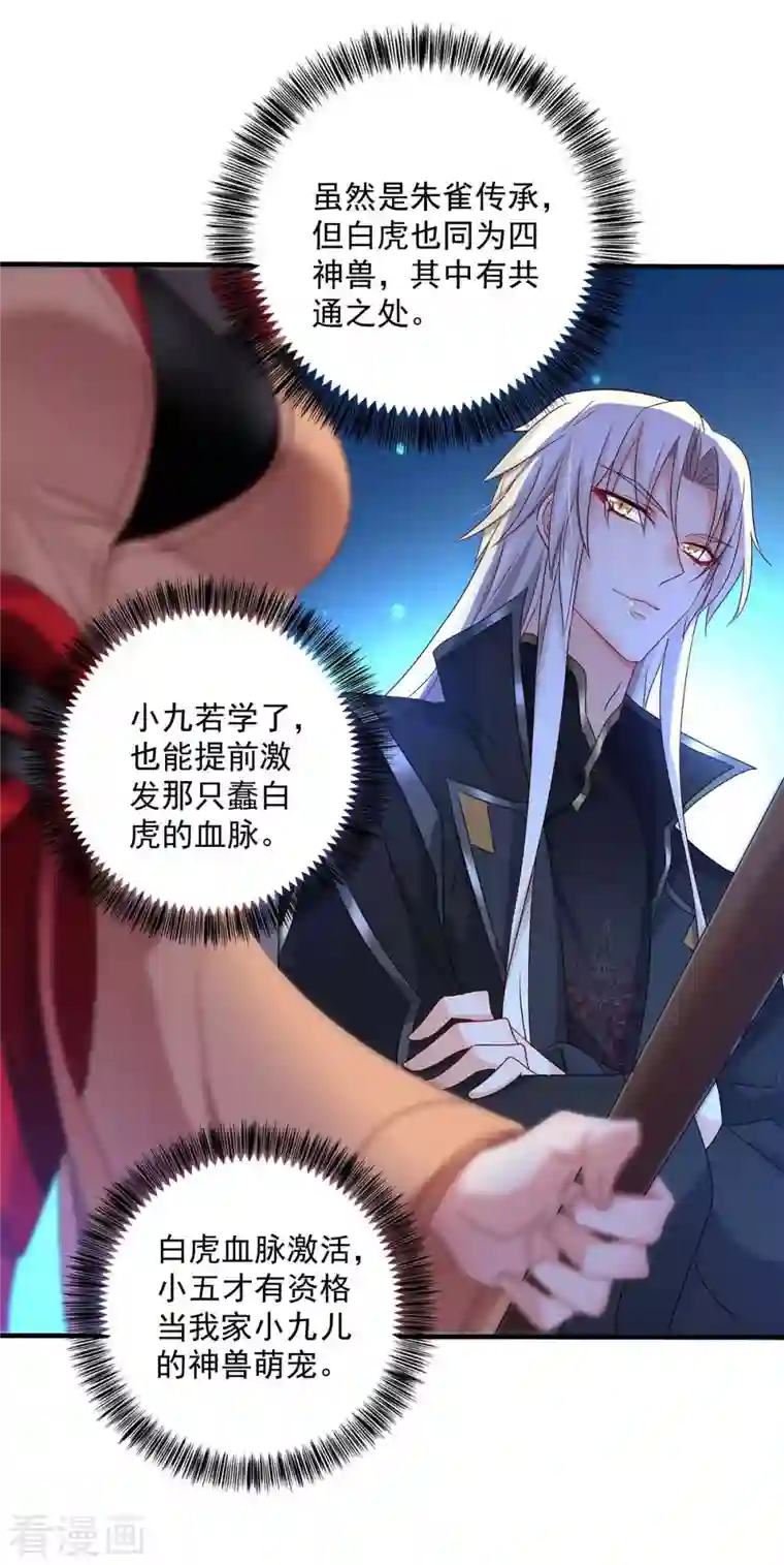 我在异界养男神：神医九小姐第97话 传承