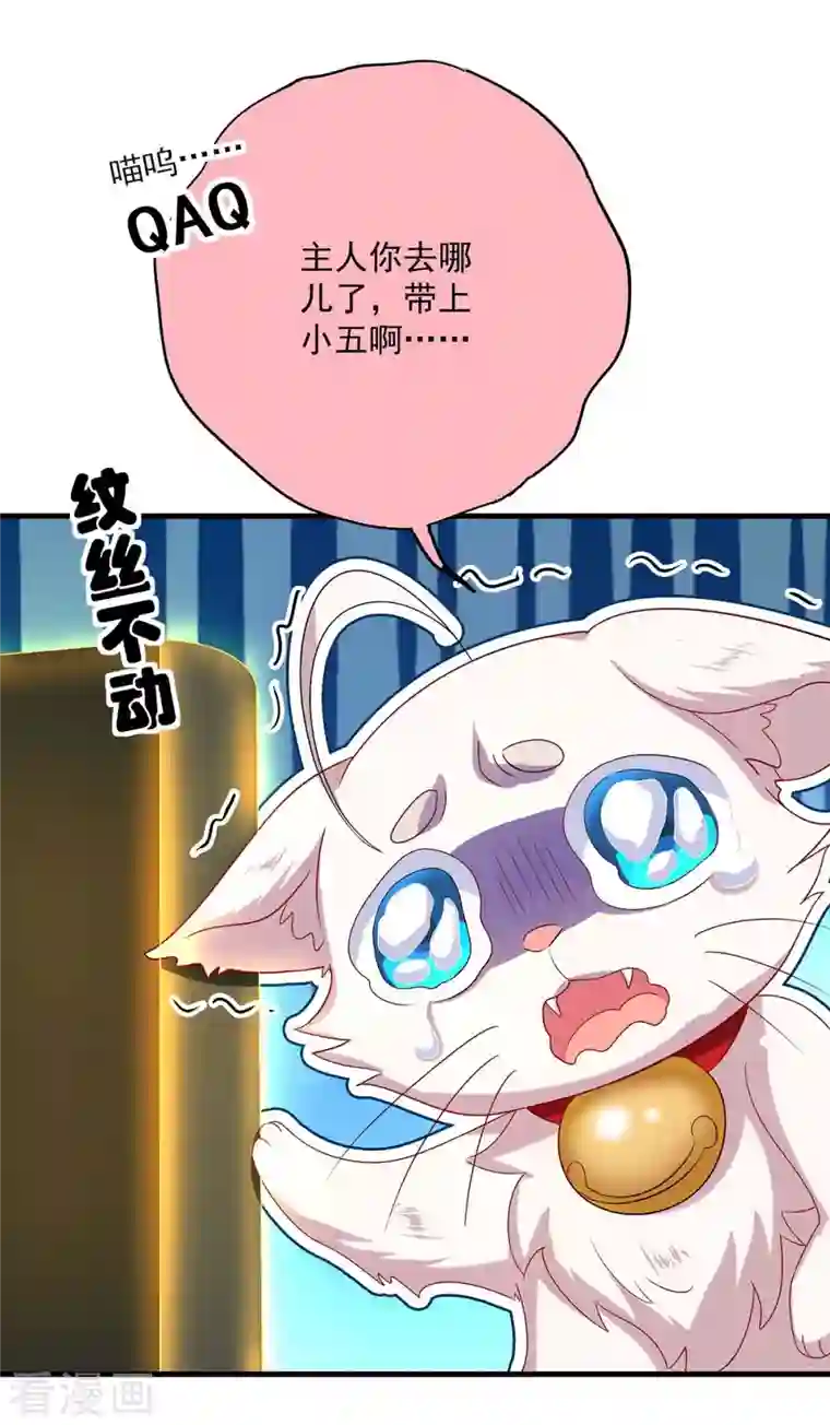 我在异界养男神：神医九小姐第97话 传承