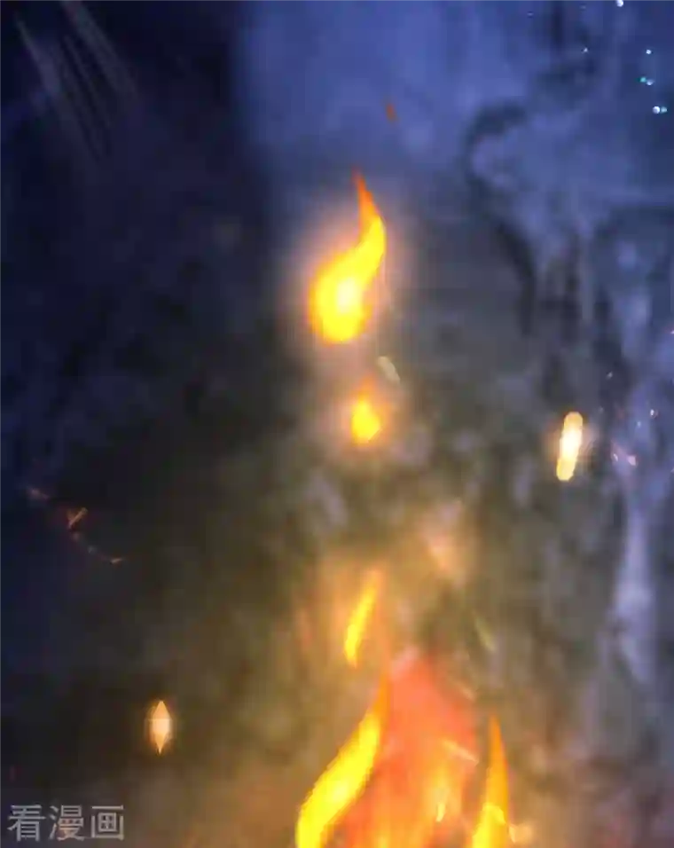 我在异界养男神：神医九小姐第97话 传承