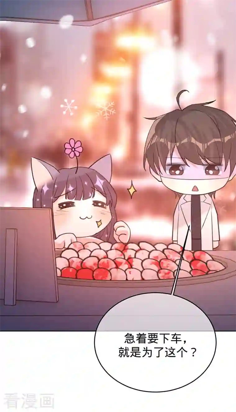 以婚之名第74话 雪球和你都很甜