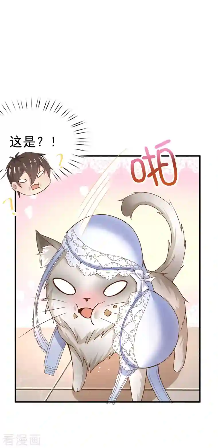 超能不良学霸第11话 猫的福利你想象不到
