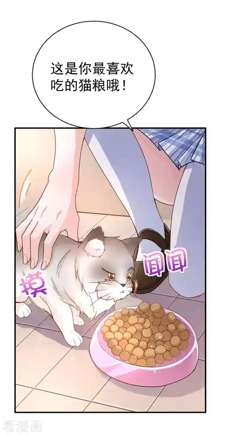 超能不良学霸第11话 猫的福利你想象不到