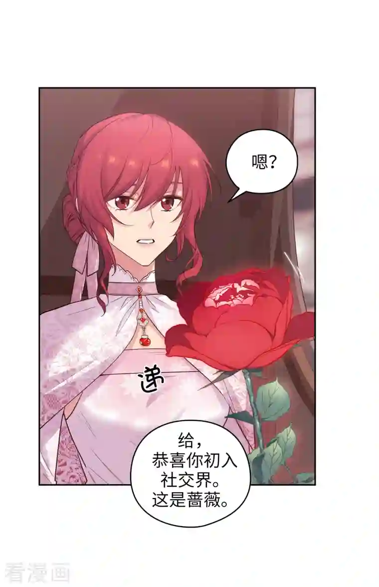 阿多尼斯第336话 华丽的社交出道