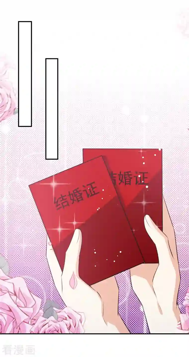 天才酷宝第169话 我们领证了