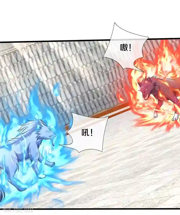 神武天尊第334话 工具狼