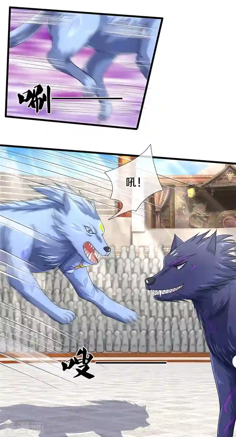 神武天尊第334话 工具狼