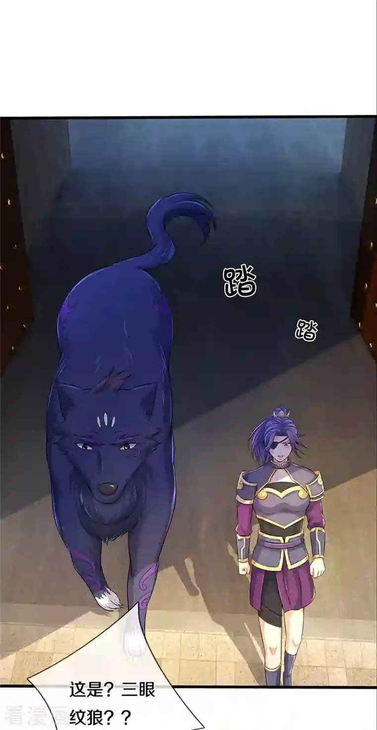 神武天尊第334话 工具狼