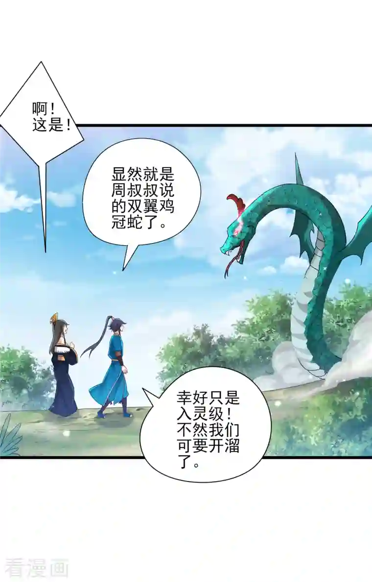 一等家丁第242话 双翼鸡冠蛇！