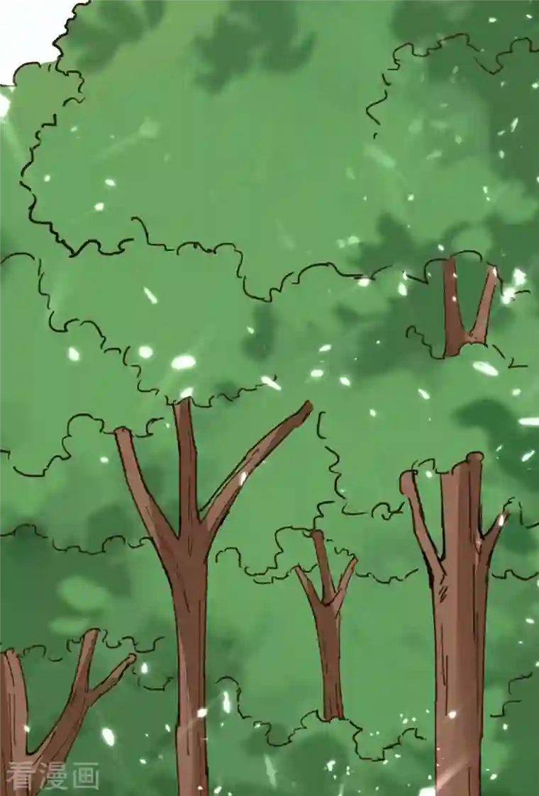 重生弃少归来第195话 反转