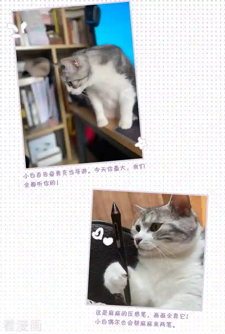 她来了，请趴下一周年活动3