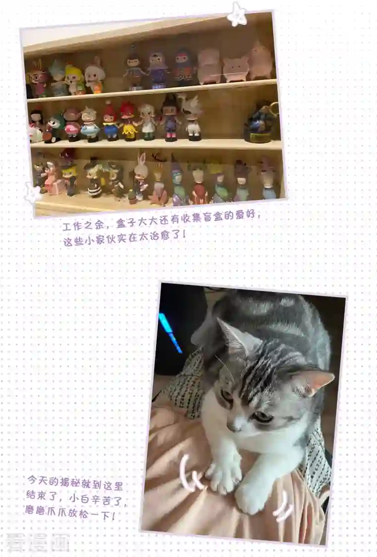 她来了，请趴下一周年活动3