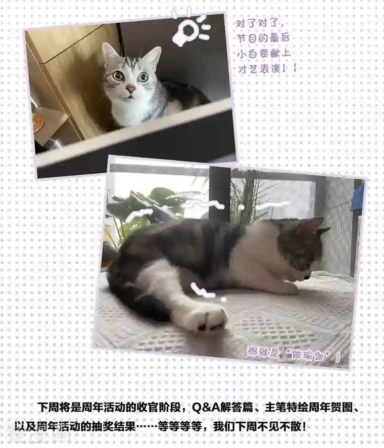 她来了，请趴下一周年活动3