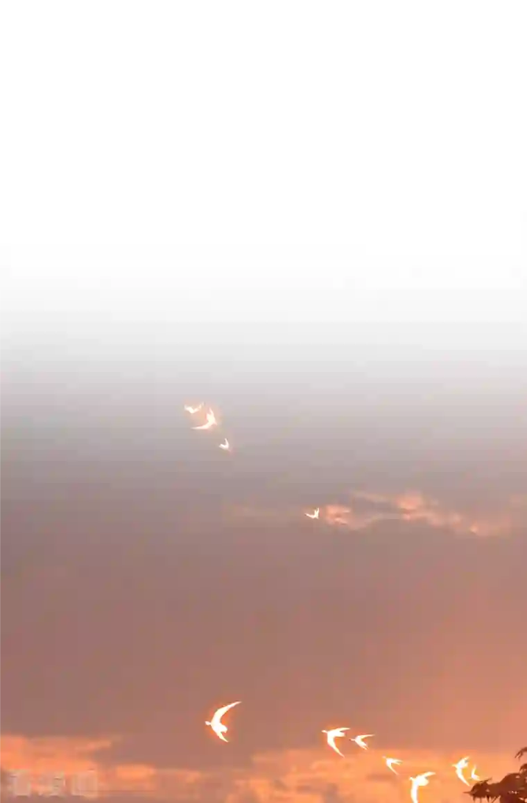 这个王妃路子野端午节小剧场