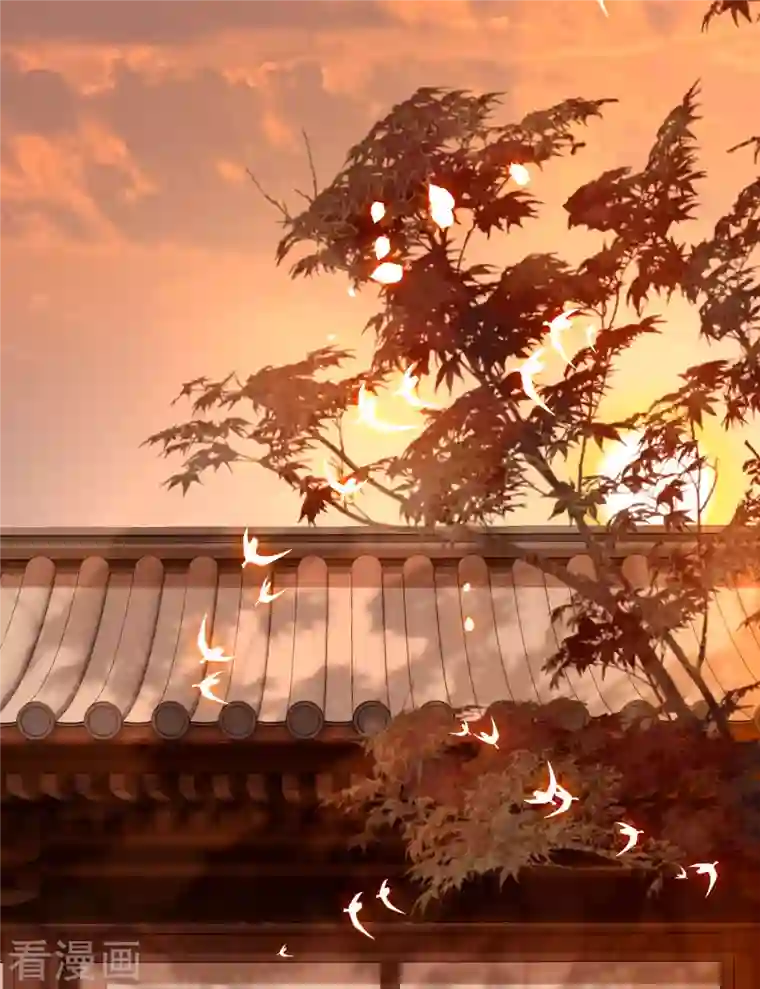 这个王妃路子野端午节小剧场