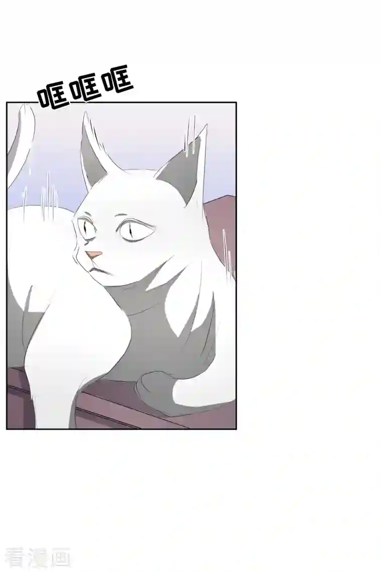 影子侦探第37话 公寓杀人真凶落网