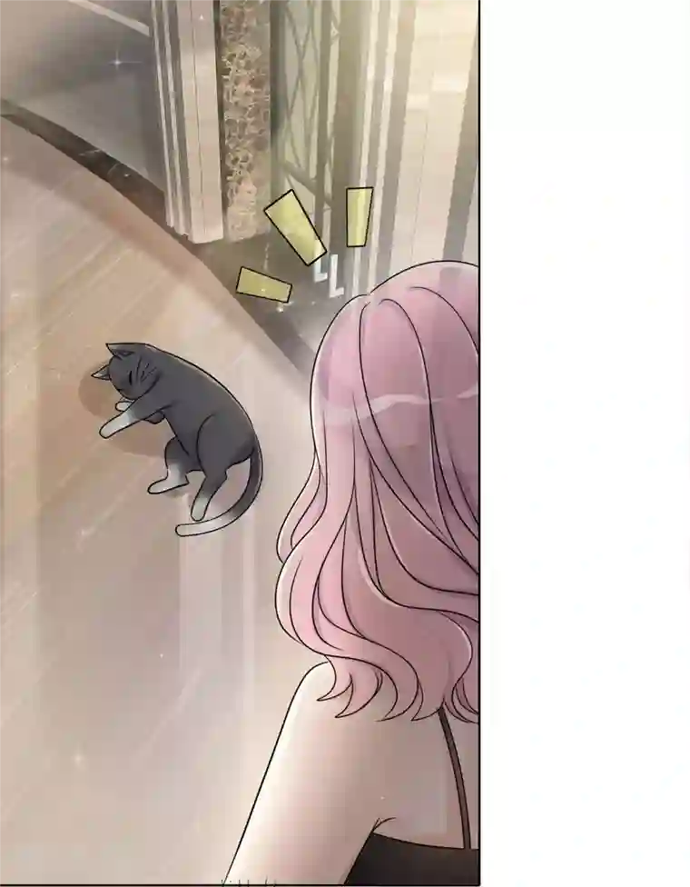 重生后靠脸混娱乐圈第2话 相遇