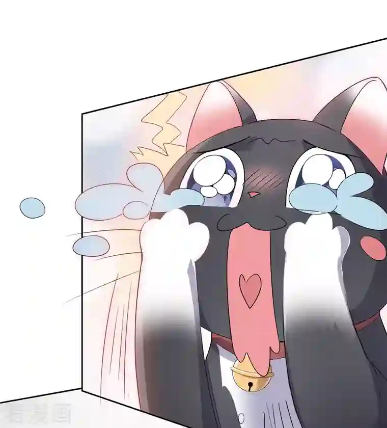 重生后靠脸混娱乐圈第3话 小圆