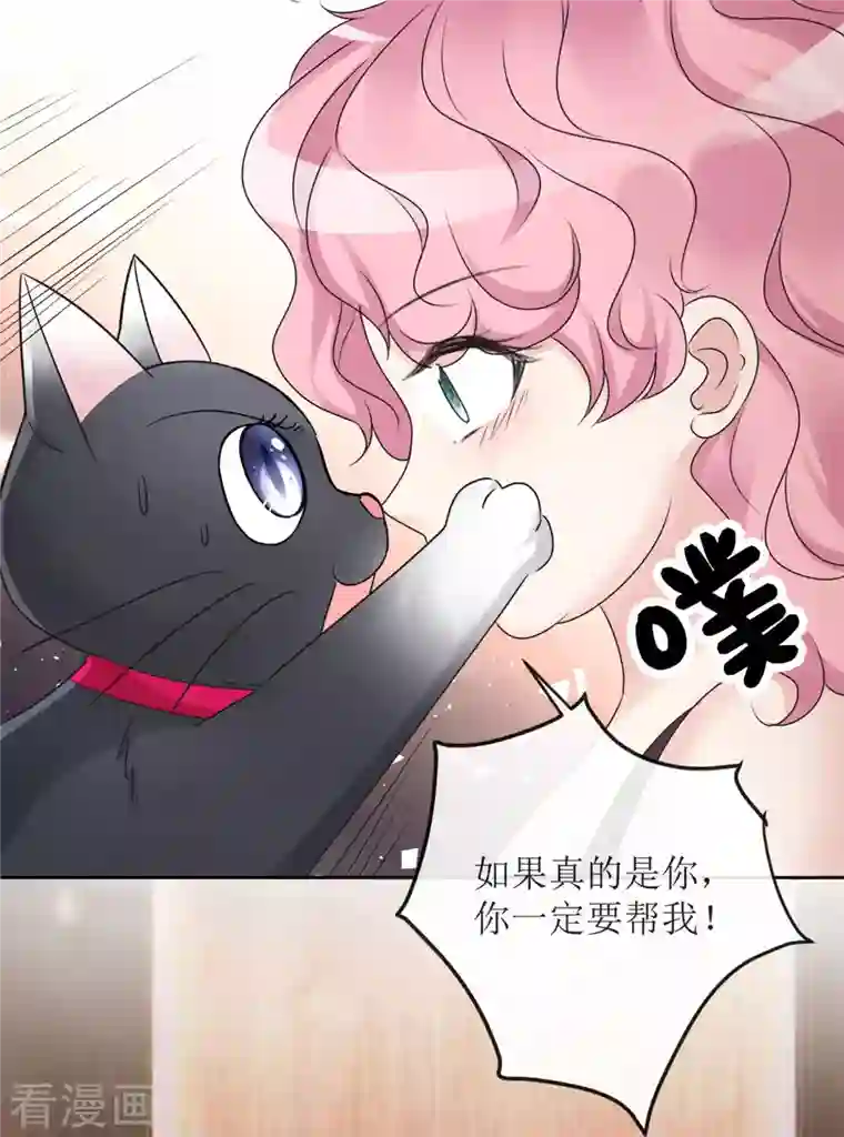 重生后靠脸混娱乐圈第3话 小圆