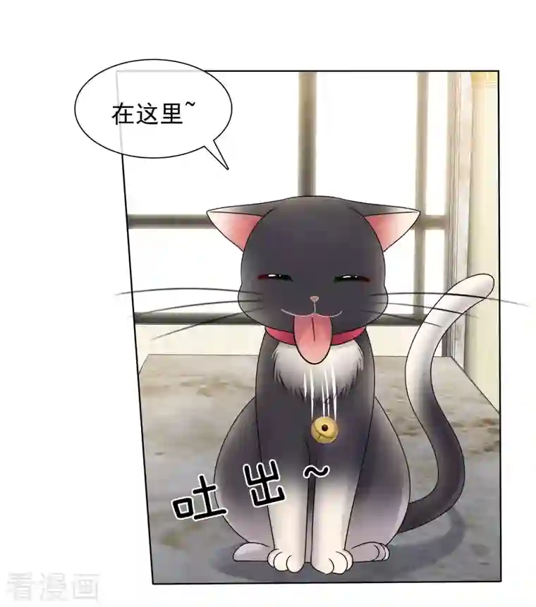 重生后靠脸混娱乐圈第7话 开溜