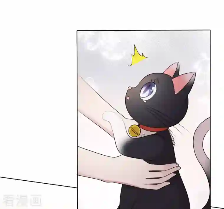 重生后靠脸混娱乐圈第8话 减肥