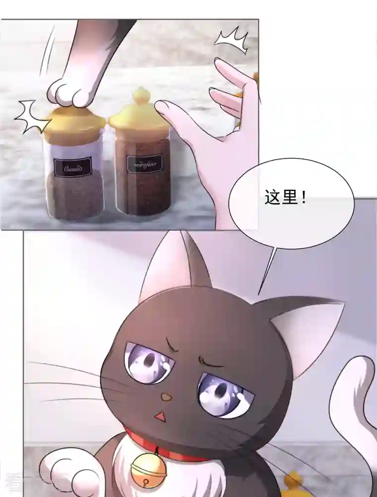 重生后靠脸混娱乐圈第28话 聚会