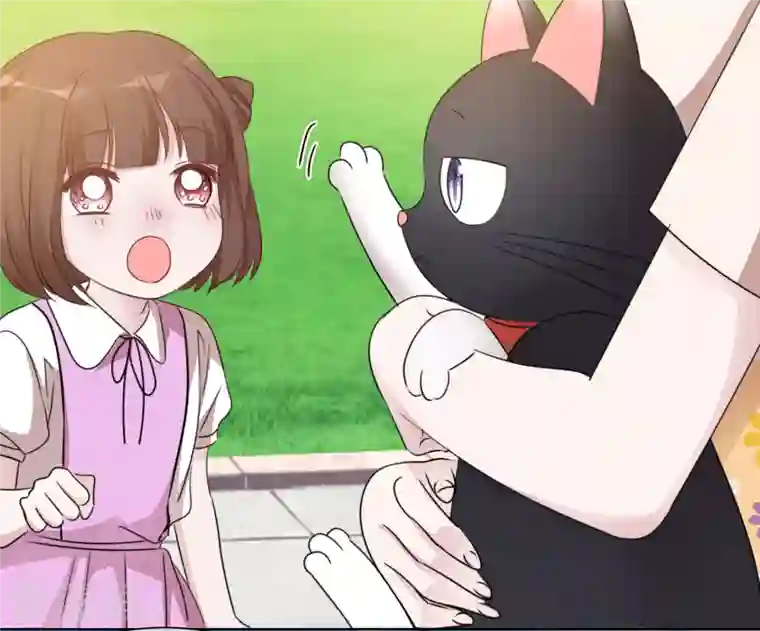 重生后靠脸混娱乐圈第40话 分组