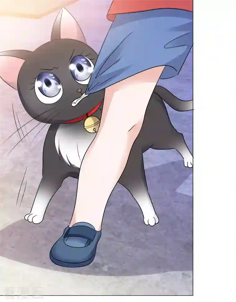 重生后靠脸混娱乐圈第50话 楚墨赶来