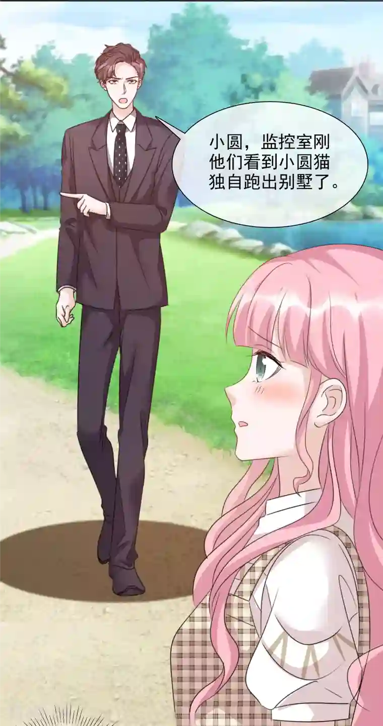 重生后靠脸混娱乐圈第53话 小圆猫不见了