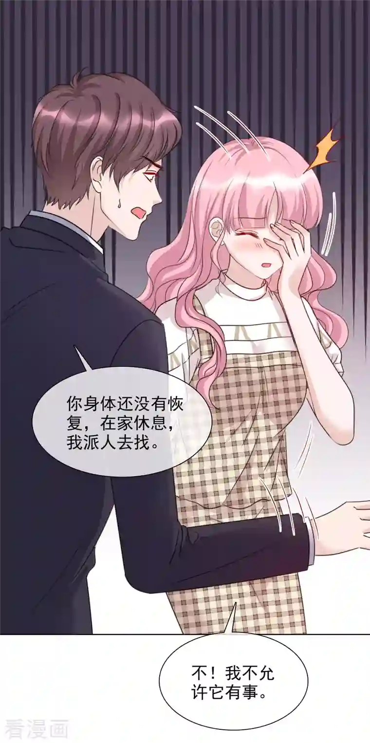 重生后靠脸混娱乐圈第53话 小圆猫不见了