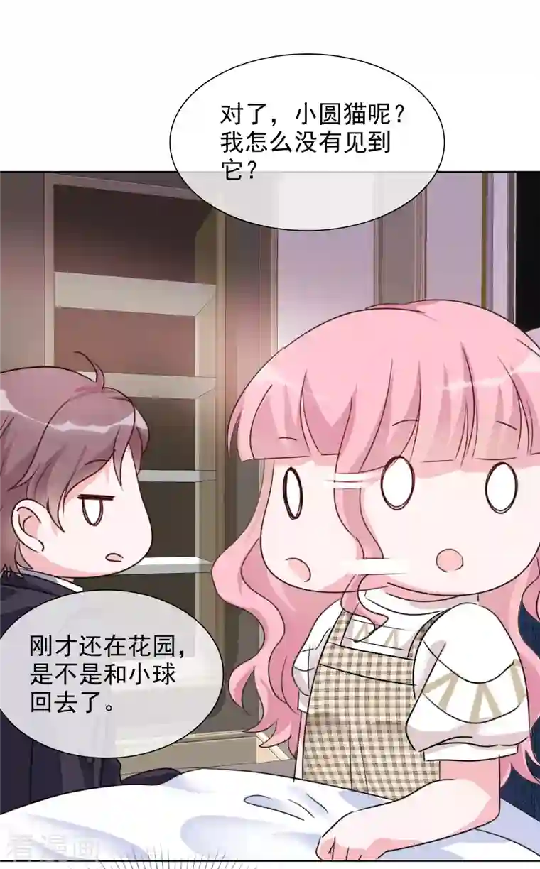 重生后靠脸混娱乐圈第53话 小圆猫不见了