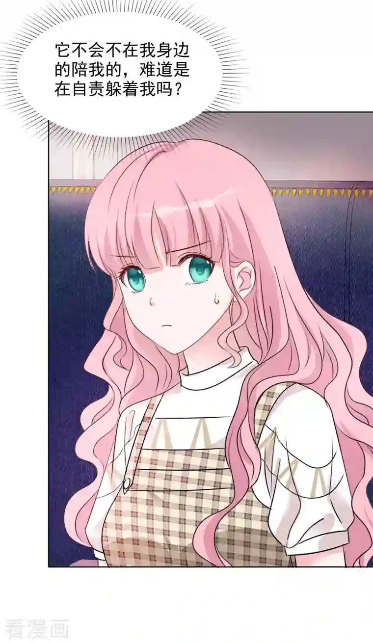 重生后靠脸混娱乐圈第53话 小圆猫不见了