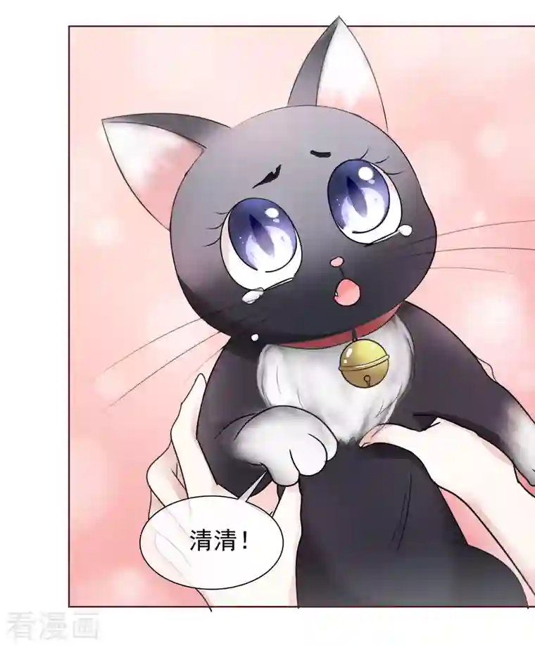 重生后靠脸混娱乐圈第54话 吃蛋糕