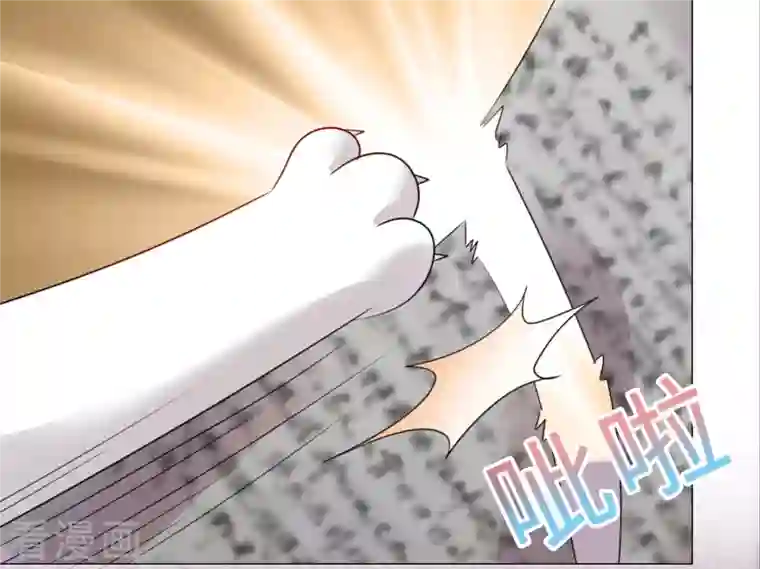 重生后靠脸混娱乐圈第68话 断绝关系